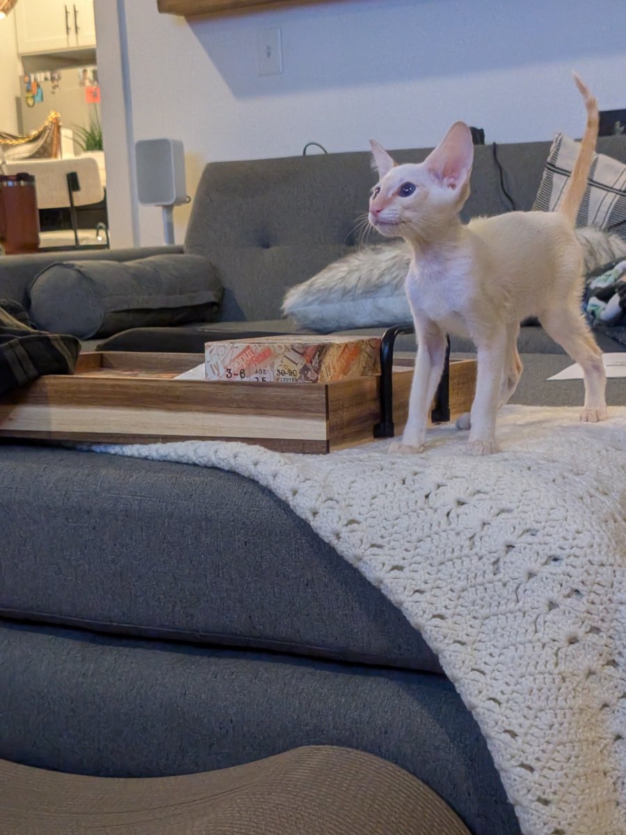 heard something interesting approximately three rooms away