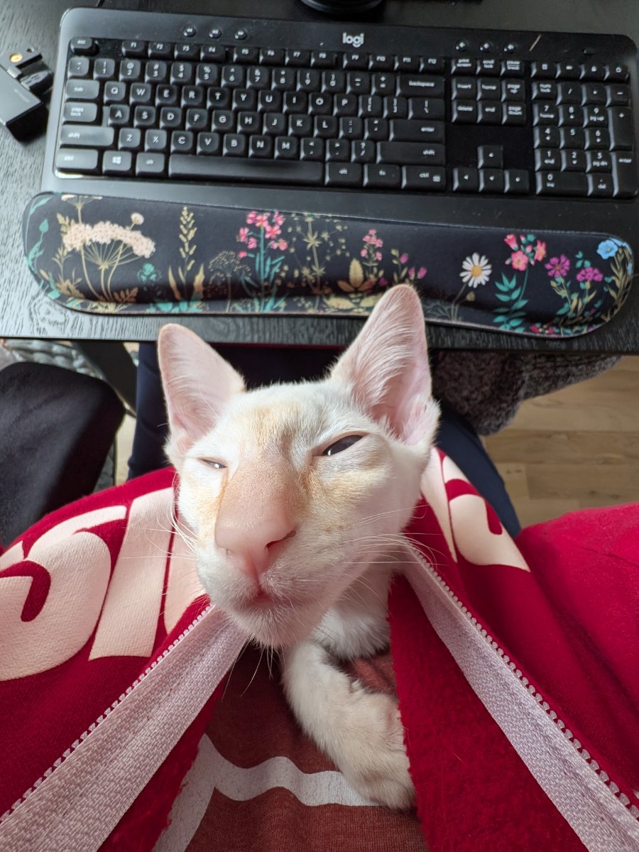 providing quality control for the home office setup