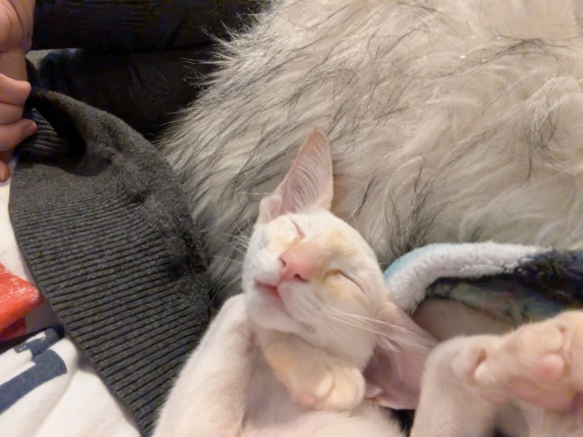 belly up is a lifestyle choice.