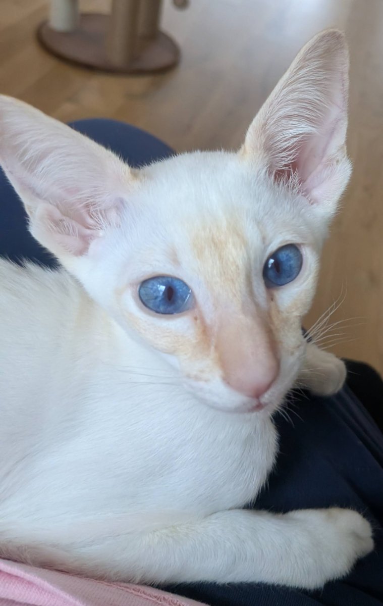 caught mid-thought. it was about dinner.