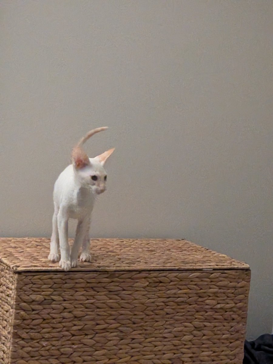 claimed the high ground. survey says: everything down there is also mine.