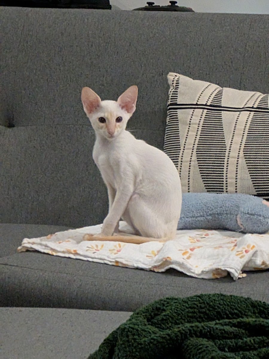 heard my name and pretended i was doing something important