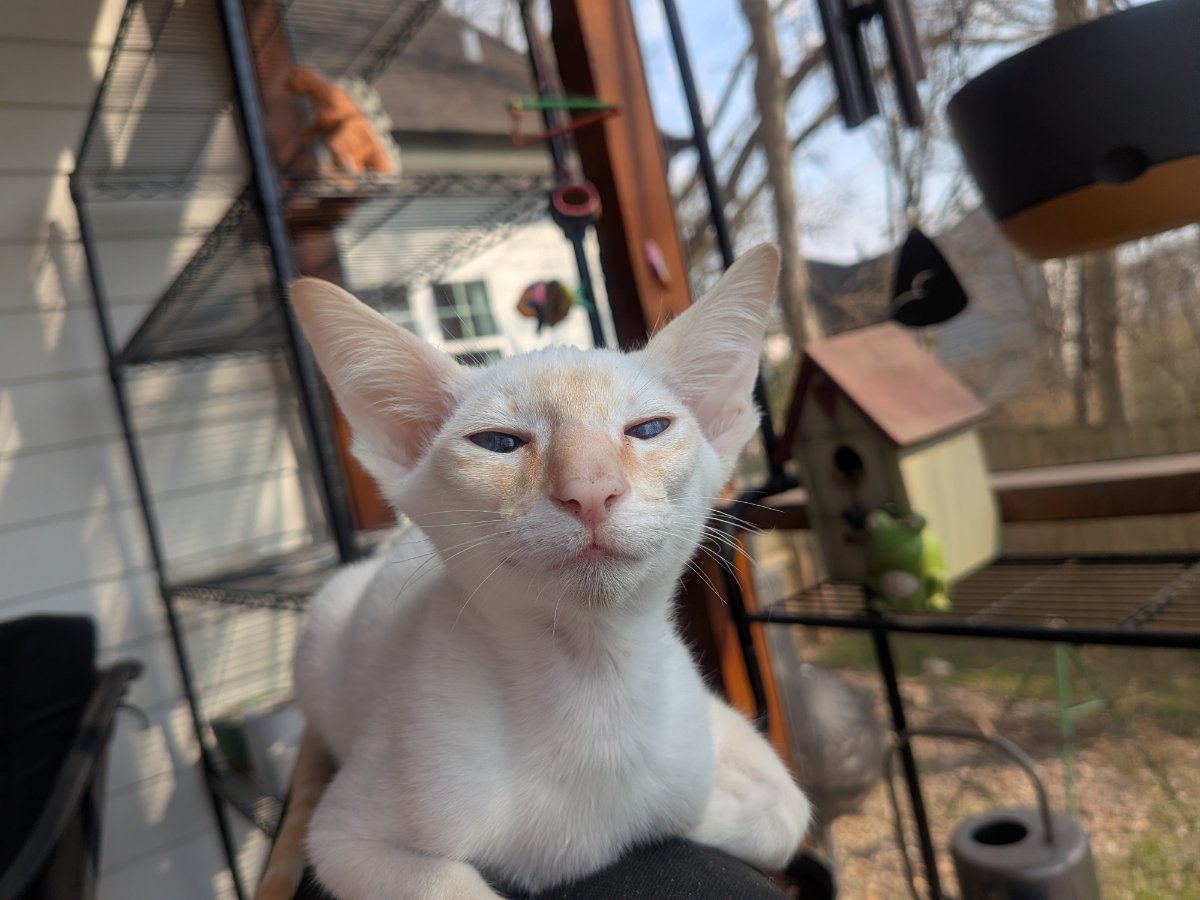 first time on the porch and i'm already judging the neighbors.