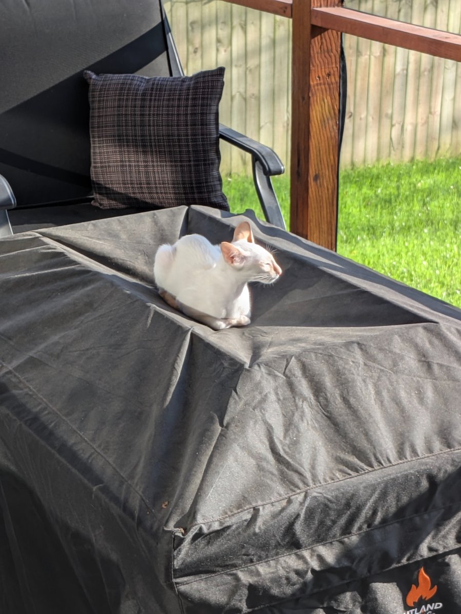 outside is complicated but i'm managing