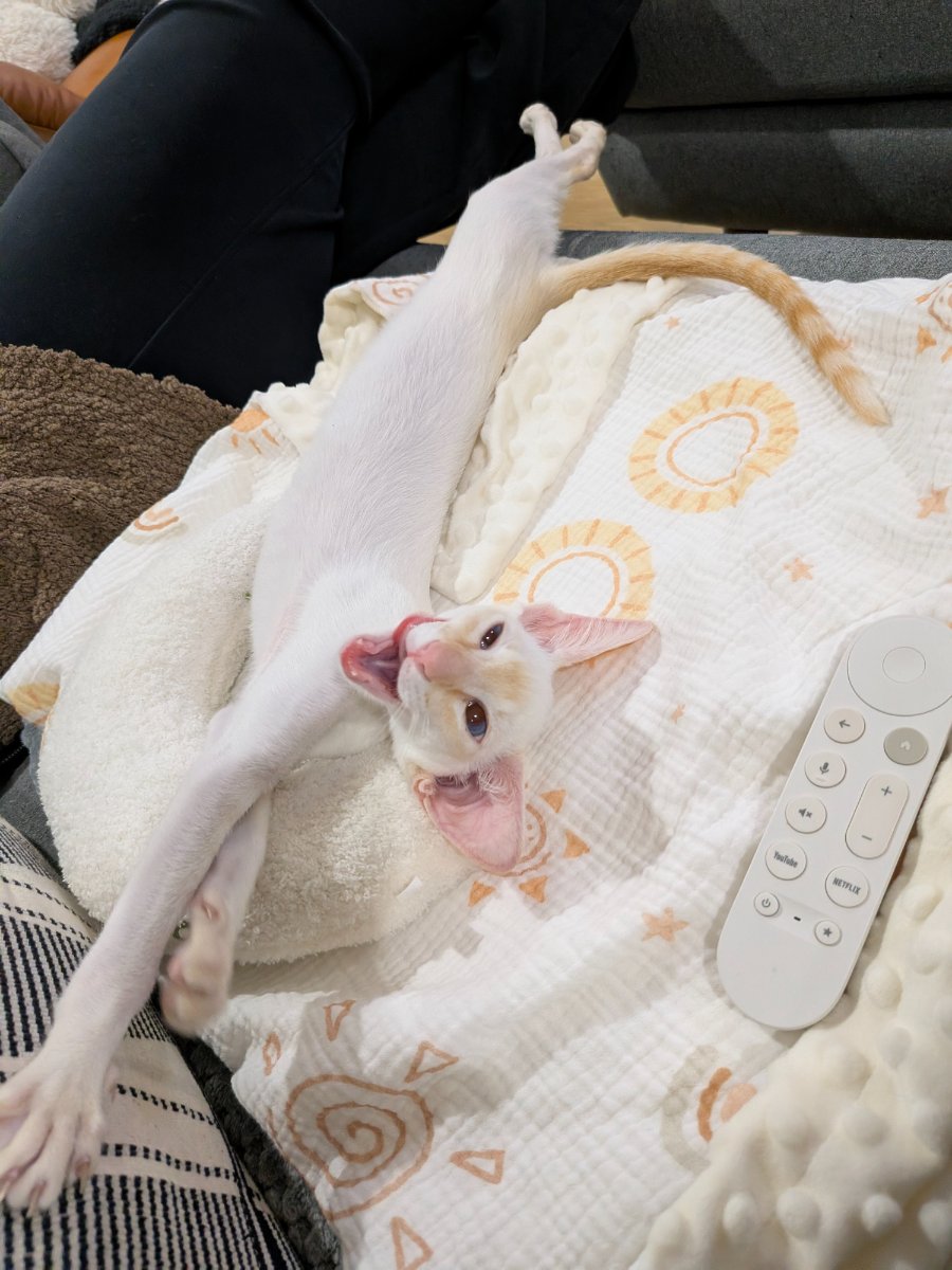 fully committed to this stretch. no notes.