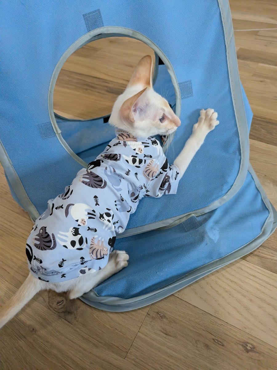 wearing my pajamas in the cat tent like a civilized individual