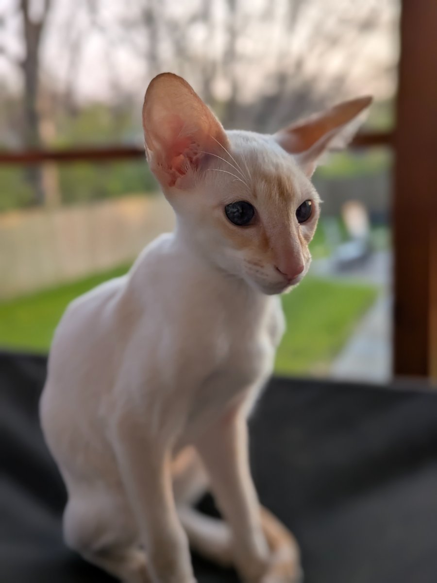 heard something outside. probably important.