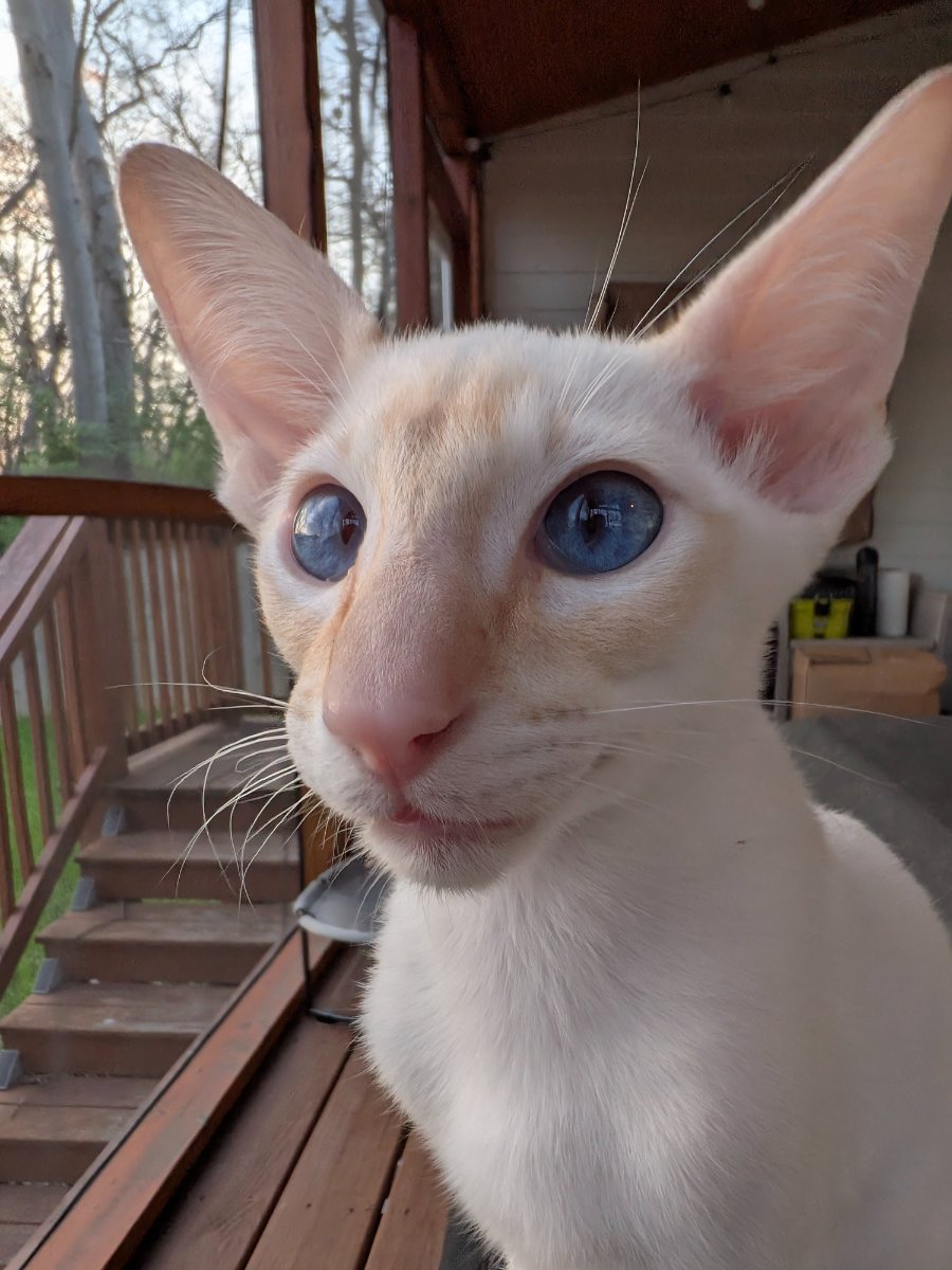 got really close to the phone for this one. feeling it.