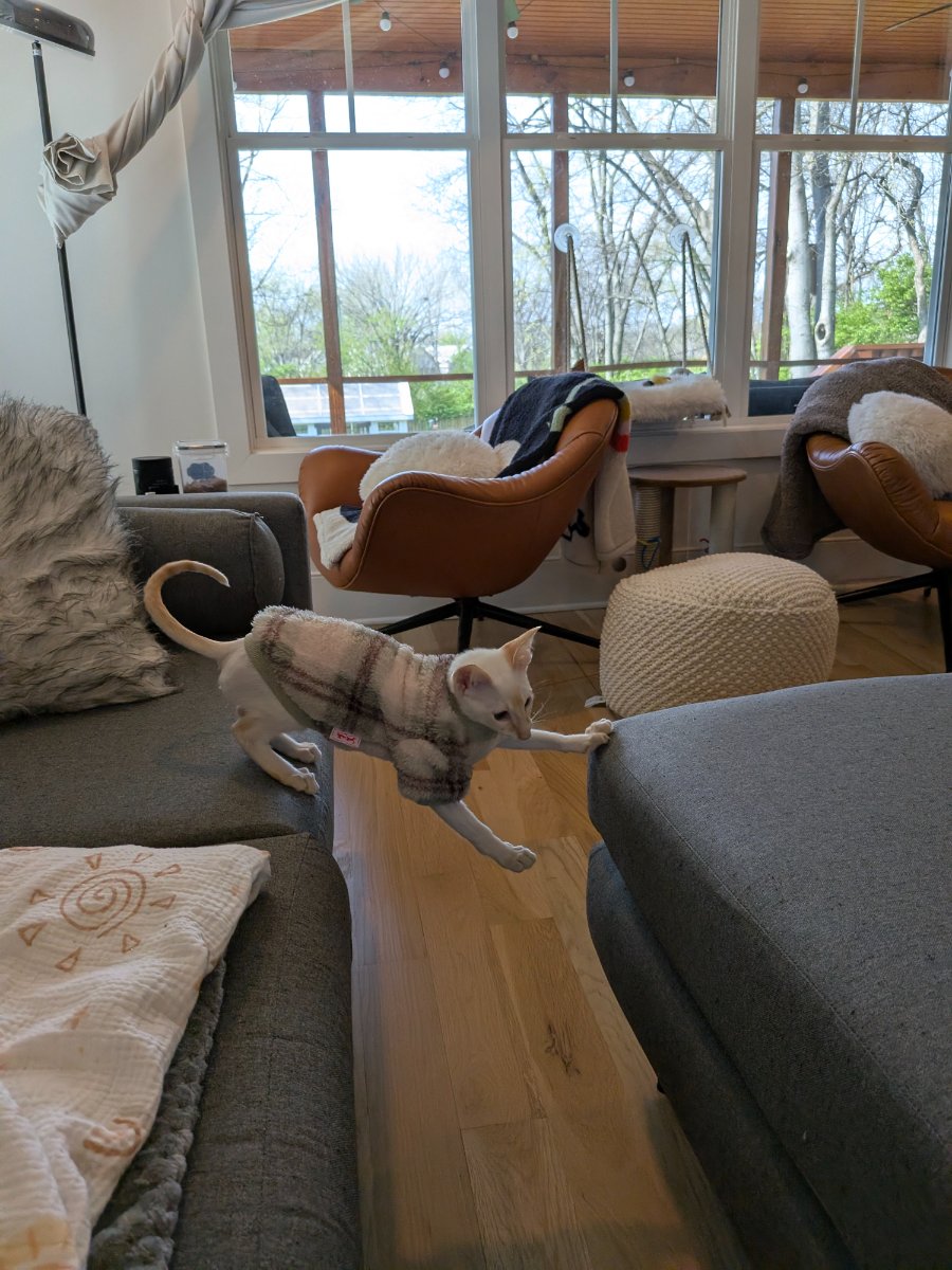 testing the structural integrity of this furniture bridge situation