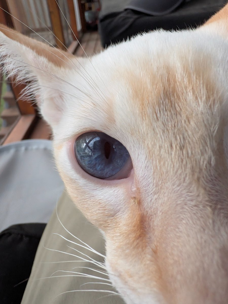 got really close to the camera and now you have to look at me.