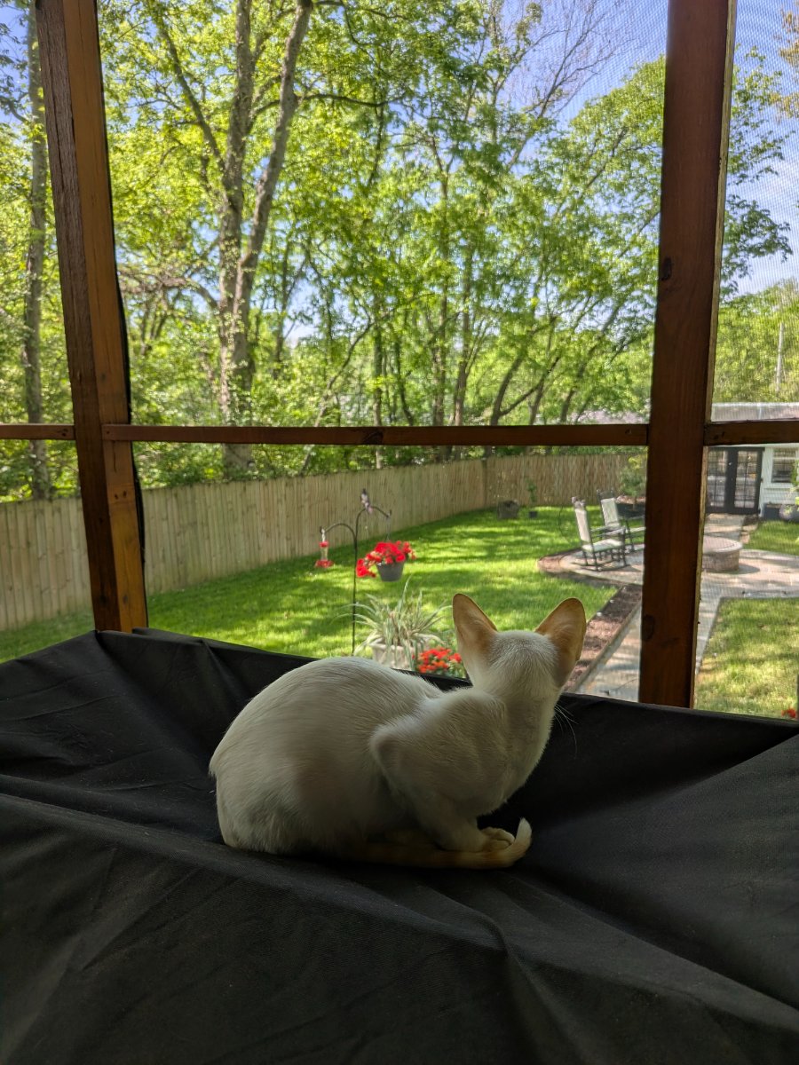 my kingdom. i survey it daily.