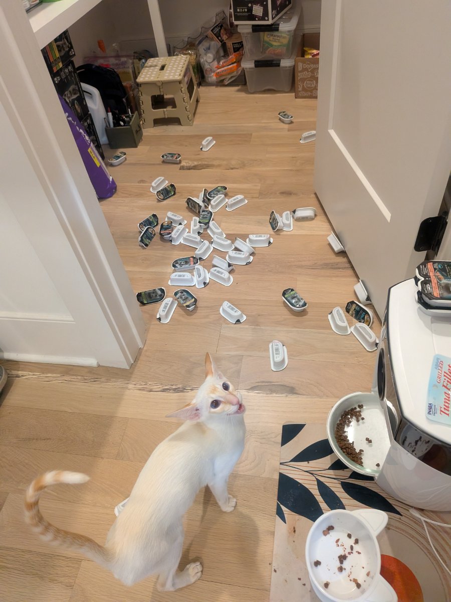 not sure what happened here but i'm pretty sure it wasn't me